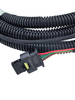 High Temperature Resistance Car Wire Harness Automotive Wiring Harness 12V
